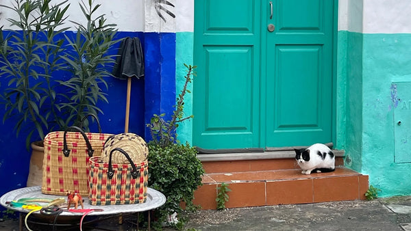 Crossing Into Morocco: Ferry to Tangier & First Days in Asilah
