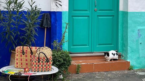 Crossing Into Morocco: Ferry to Tangier & First Days in Asilah