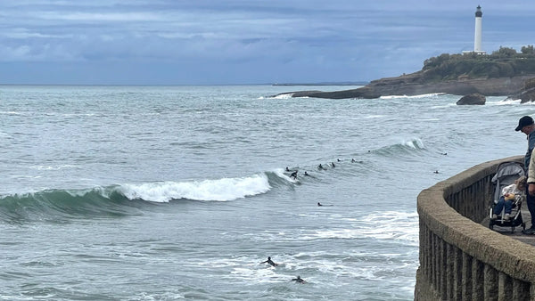 Anglet & Biarritz, France: Coastline, Surf & Dog-Friendly Days