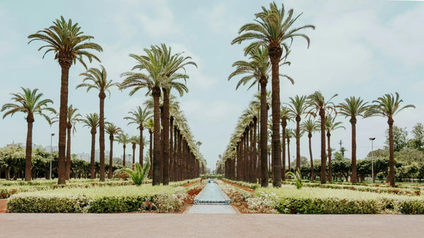 Casablanca Travel Guide: Is Casablanca Worth Visiting?
