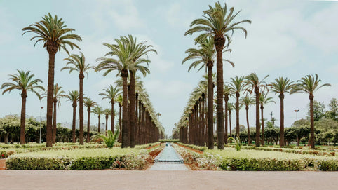 Casablanca Travel Guide