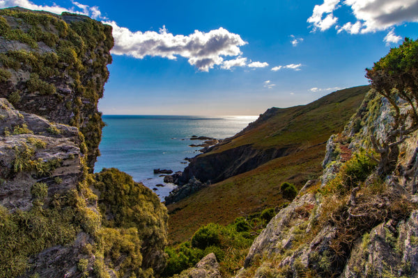 Devon Road Trip Guide