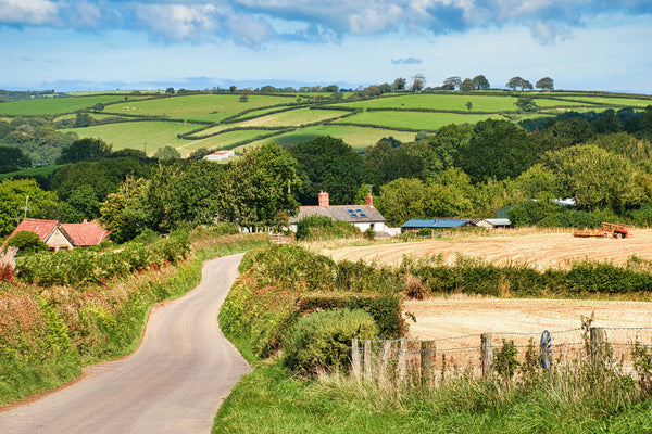 Devon: Rugged Shores and Quiet Retreats