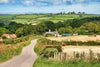 Devon coastline with green hills, coastal road, and sea views in South West England
