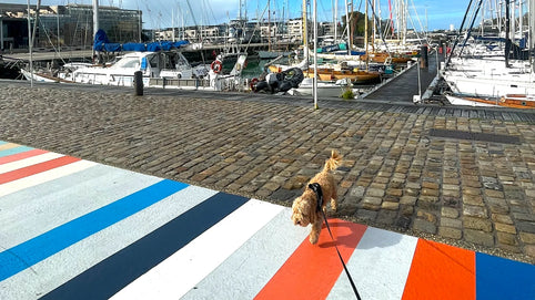 La Rochelle, France: Sea Air & Slow Living