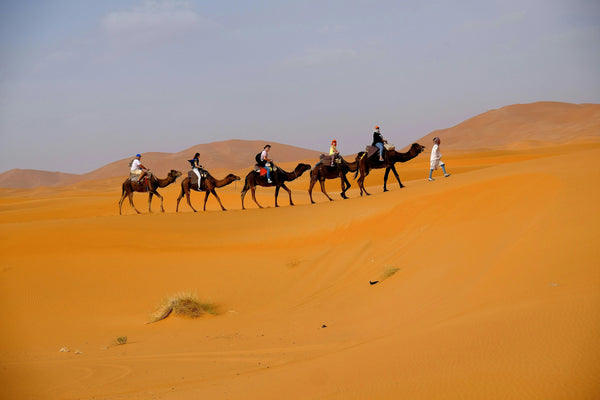 Morocco 10 Day Itinerary: The Ultimate Road Trip Route