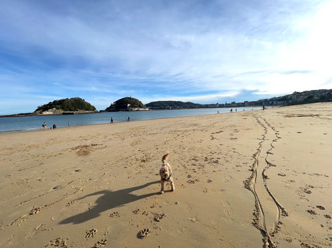 San Sebastián, Spain: Pintxos, Sea Breezes & Slow Living by the Bay