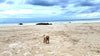 Tarifa, Spain: Atlantic Energy, Beaches & Southern Edge Living