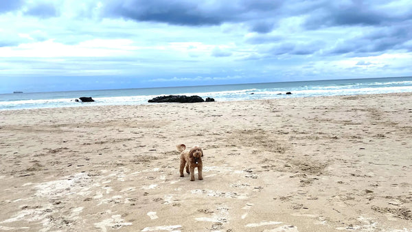 Tarifa, Spain: Atlantic Energy, Beaches & Southern Edge Living