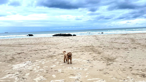 Tarifa, Spain: Atlantic Energy, Beaches & Southern Edge Living